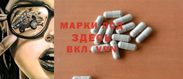 шишки Заволжье