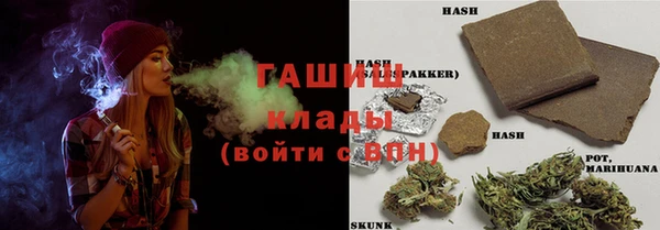 мдпв Елабуга