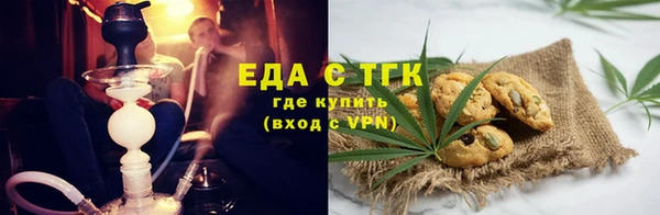 мдпв Елабуга