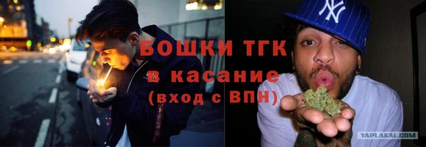 шишки Заволжье