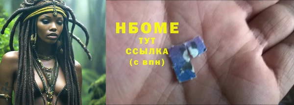 мдпв Елабуга