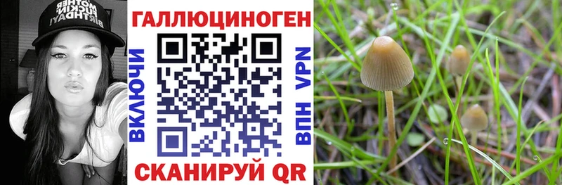 Псилоцибиновые грибы ЛСД  Купить где  Морозовск 